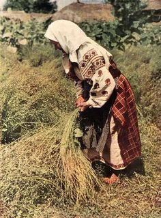 an old photo of a woman in a field picking grass with her head covered by a blanket