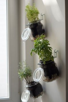 three hanging planters filled with plants on a wall