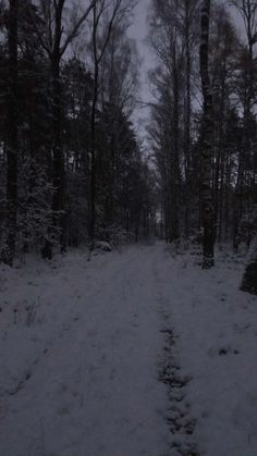 the path in the woods is covered with snow and has footprints leading up to it