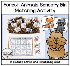 an animal themed activity with matching pictures