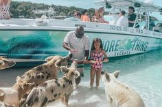 a group of people standing in the water with some animals near by on a boat