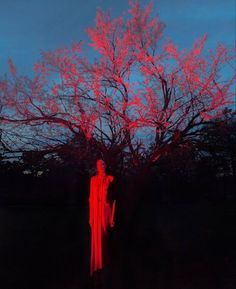 a ghostly figure standing in front of a tree with red lights on it's branches