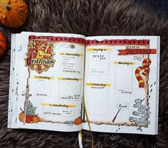 an open harry potter book sitting on top of a furry surface next to pumpkins