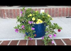 a potted plant with yellow and purple flowers on the ground next to a brick wall