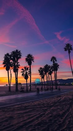 palm trees line the beach at sunset with people riding bikes in the foreground and on the far side