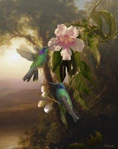 Two realistic hummingbirds feed on delicate pink flowers Grandma Painting, Cacao Art, Flower Art Prints, Trumpet Flower, Art Terms