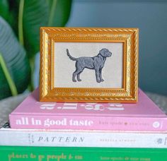 two books stacked on top of each other next to a gold frame with a dog in it