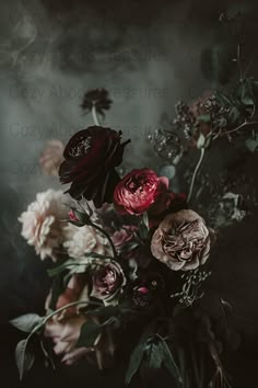 Immerse your space in the enigmatic charm of this dark floral wallpaper. Capturing the essence of gothic romance, these moody roses are a dramatic and stylish addition to any room. This digital download allows you to create breathtaking wall art or sophisticated backgrounds instantly. Ideal for those who appreciate the beauty and mystery of dark botanical prints. Aspect Ratio is 2:3 and will fit frame sizes 6x4, 8x12, 10x15, 12x18, 16x24, 20x30, 24x36, download and send over to your favorite onl Wallpaper Moody, Dark Floral Wallpaper, Winter Greenhouse, Flower Dance, Greenhouse Wedding, Photography Home, Dark Romantic, Moody Wedding, Flower Photography