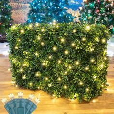 an artificial boxwood hedge with christmas lights on it