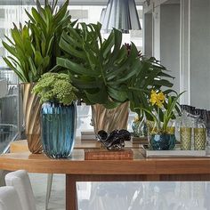 three vases filled with plants on top of a table