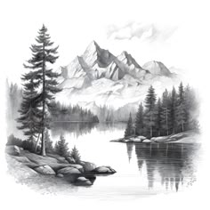 a pencil drawing of a mountain lake with pine trees