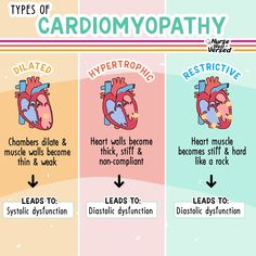 the four types of cardiomyopathhy are shown in three different colors and sizes