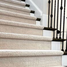 a cat is sitting on the carpeted stairs