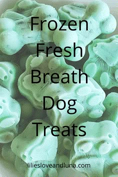 frozen fresh breath dog treats in a bowl with text overlay that reads, frozen fresh breath dog treats