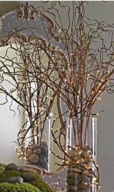 there is a vase with some branches in it