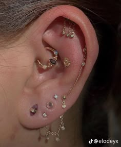 the ear is adorned with many different types of piercings