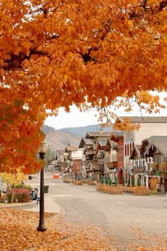 a street lined with lots of houses next to autumn leaves on the ground and trees in front of them