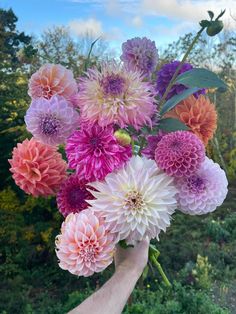 a person holding a bouquet of flowers in their hand with trees and bushes behind them