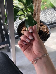 Black Nails, Nails, Plants, Black