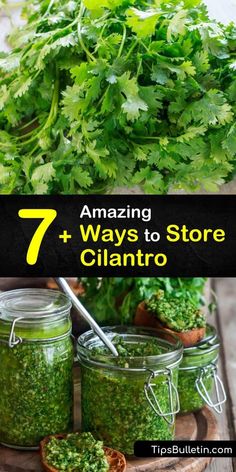 several jars filled with green herbs on top of a wooden cutting board and the words 7 amazing ways to store cilantro