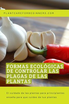 garlic and peppers on a cutting board with the words formas ecologicaas de controlais placas de las plantas