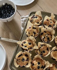 muffins with blueberries are sitting on a baking tray and ready to be eaten