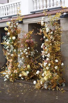 two white and yellow flowers are growing on the side of a building with balconies