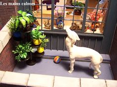 a white dog standing in front of a window next to potted plants and a ball