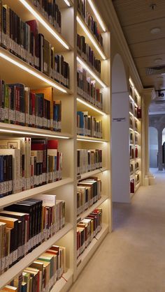 rows of books are lined up on the wall in a library with columns and lights