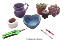 the succulents are arranged in various shapes and sizes, including a heart shaped bowl