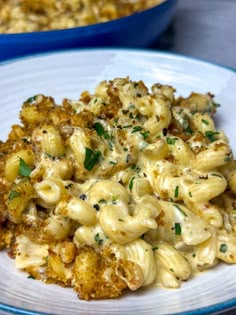 macaroni and cheese is served on a plate