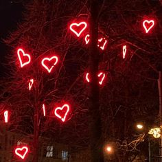 red lights are on the branches of trees in front of a building