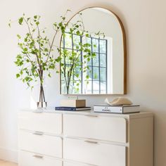 a white dresser topped with a mirror next to a vase filled with green leaves and a plant