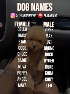 a person holding a dog in their lap with the names of dogs on it's side