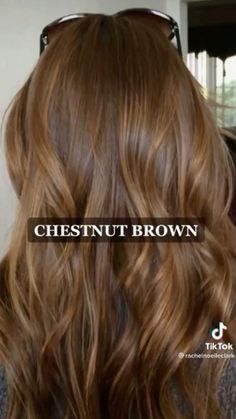 Auburn Hair Yellow Skin, Straight Chestnut Brown Hair, Ladies Work Outfits Office Wear, Chestnut Hair Color Dark, Warm Hair Color Ideas Brunettes, Brown Hair Bayalage, Warm Brown Hair Balayage, Photo Shoot Hairstyles, Warm Honey Brown Hair Balayage