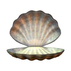 an image of a large shell shaped bowl