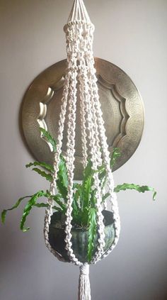 a potted plant with beads hanging from it