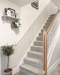 there is a potted plant on the stairs next to the bannister in this house