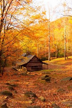 an old log cabin in the woods surrounded by fall foliage