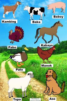 animals and their names in different languages on a farm road with a blue sky behind them