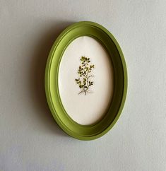 a green and white frame with a small pressed flower in it's center on the wall