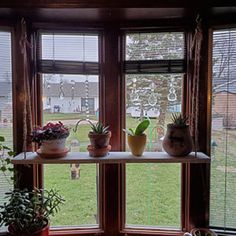 several potted plants sit on a window sill in front of a grassy yard