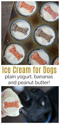 an ice cream for dogs recipe is shown in the bottom photo and on the top right there are cupcakes with peanut butter