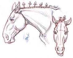 a drawing of two horses with their heads turned to look like they are facing each other