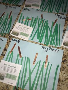 four posters with plants on them sitting on a counter top in front of some papers