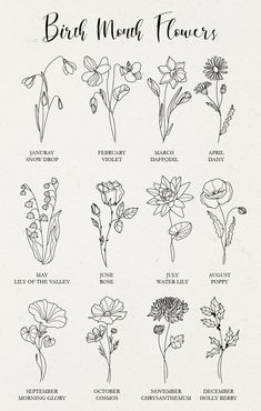 the different types of wildflowers that can be found in this drawing book, which includes