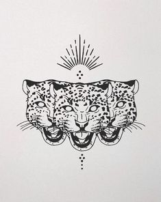 two leopards with their heads facing each other