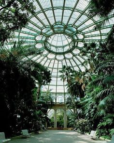 the inside of a building with lots of trees and plants