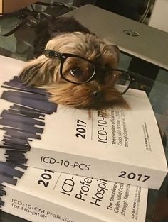 a small dog wearing glasses sitting on top of some papers that have been stacked together