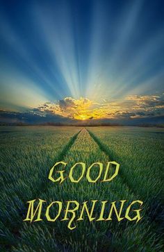 the words good morning are in front of an image of a green field with sunbeams